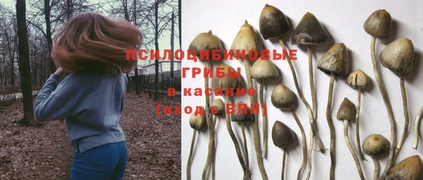 прущая мука Горнозаводск