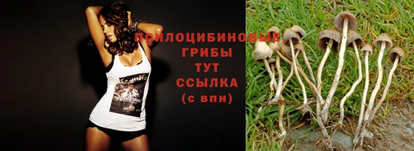 а пвп мука Вязники